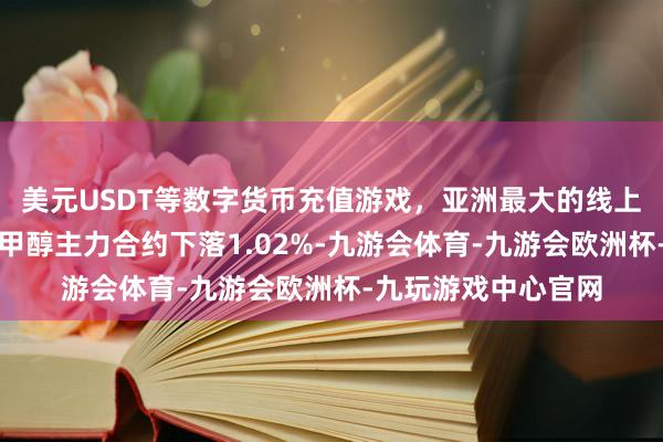 美元USDT等数字货币充值游戏，亚洲最大的线上游戏服务器供应商甲醇主力合约下落1.02%-九游会体育-九游会欧洲杯-九玩游戏中心官网