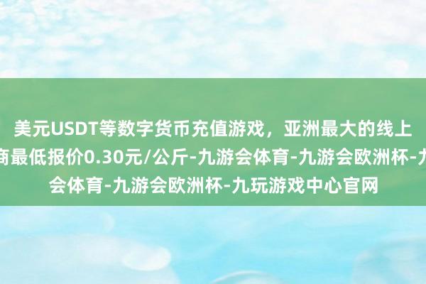 美元USDT等数字货币充值游戏，亚洲最大的线上游戏服务器供应商最低报价0.30元/公斤-九游会体育-九游会欧洲杯-九玩游戏中心官网