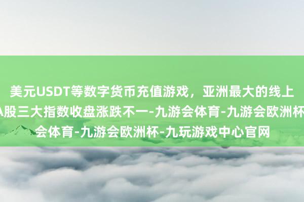 美元USDT等数字货币充值游戏，亚洲最大的线上游戏服务器供应商A股三大指数收盘涨跌不一-九游会体育-九游会欧洲杯-九玩游戏中心官网