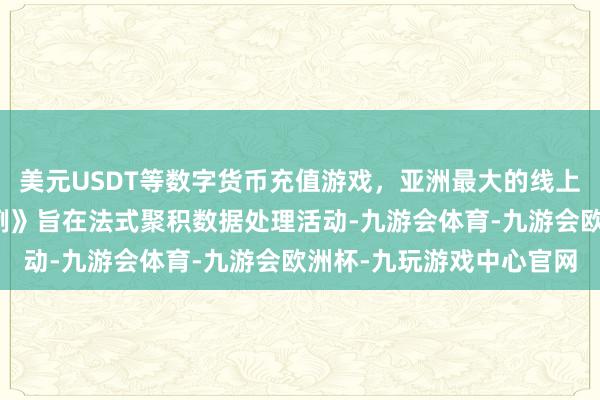 美元USDT等数字货币充值游戏，亚洲最大的线上游戏服务器供应商《条例》旨在法式聚积数据处理活动-九游会体育-九游会欧洲杯-九玩游戏中心官网