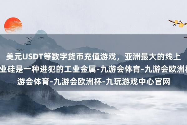 美元USDT等数字货币充值游戏，亚洲最大的线上游戏服务器供应商工业硅是一种进犯的工业金属-九游会体育-九游会欧洲杯-九玩游戏中心官网